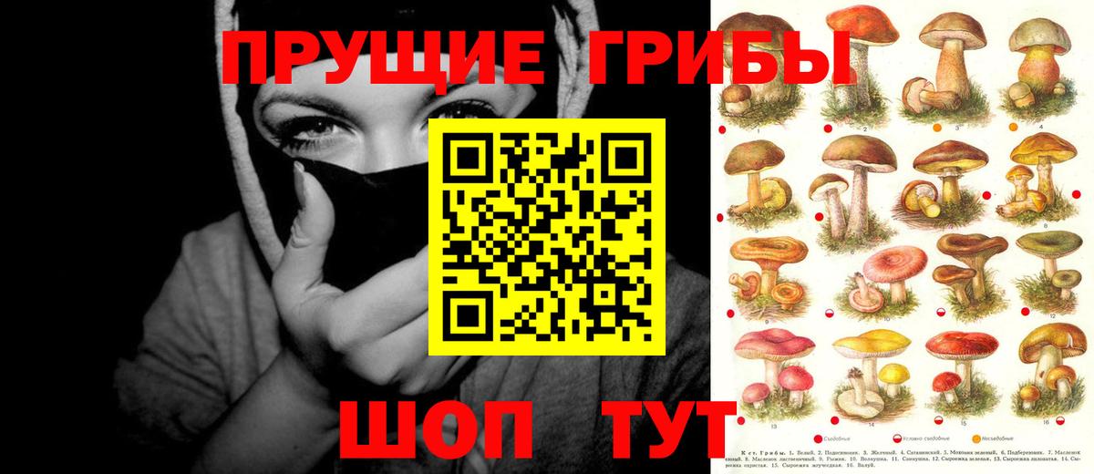 Галлюциногенные грибы Magic Shrooms Алатырь